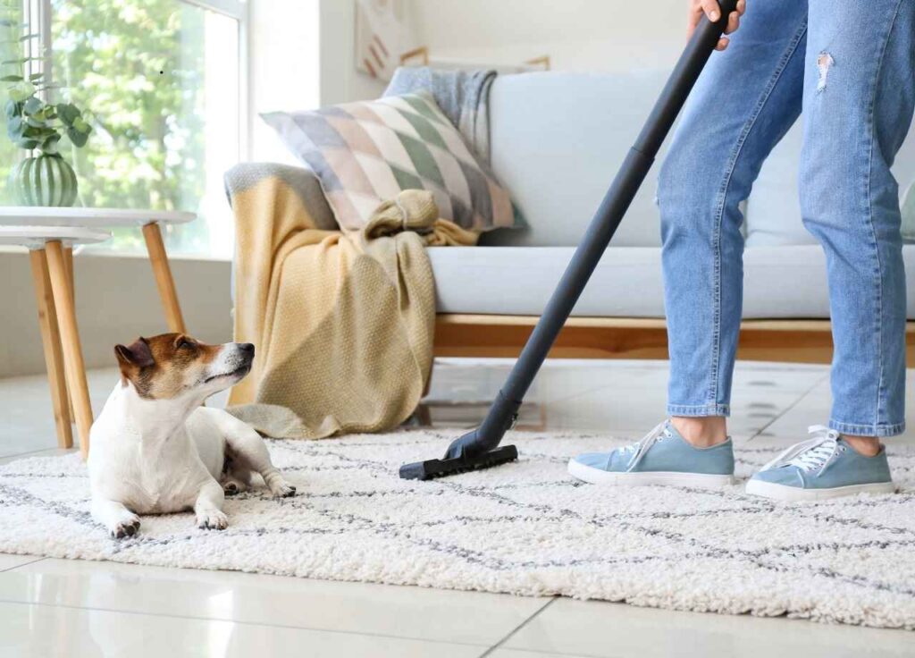 Non-Toxic Cleaning for Pet Owners