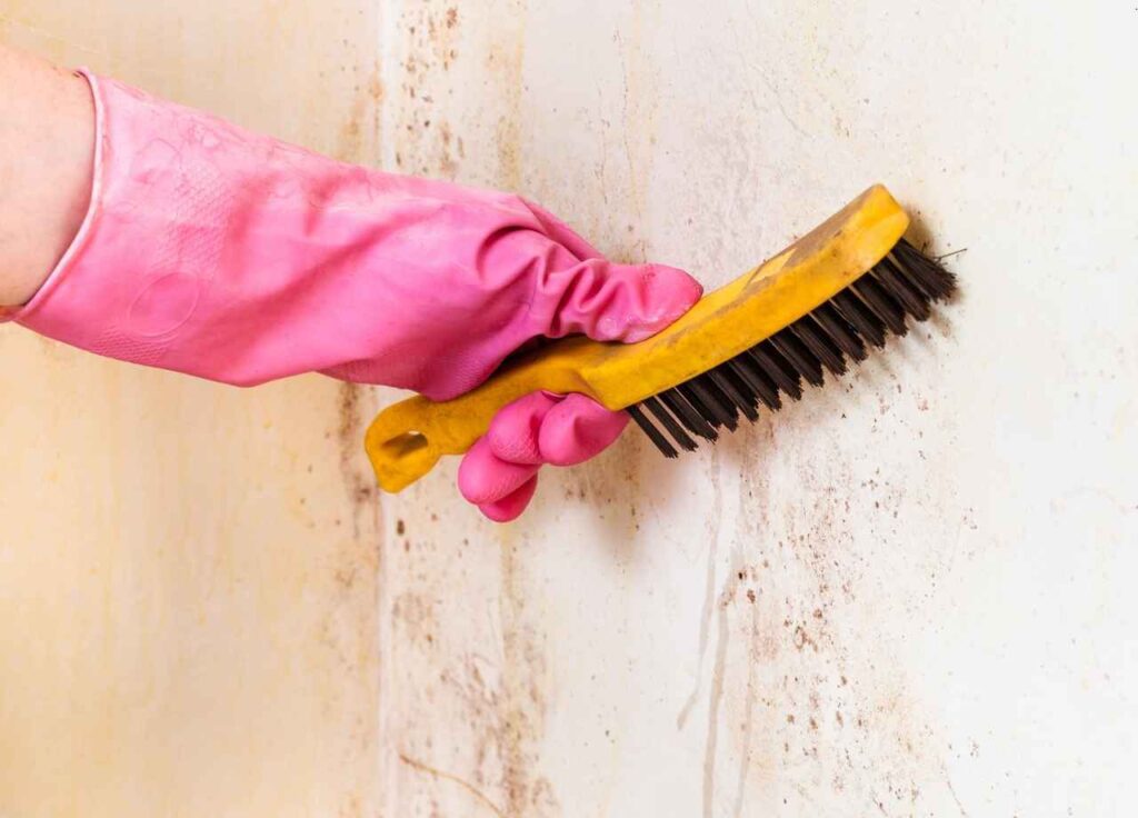 How to Remove Common Wall Stains