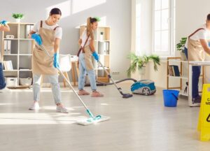Cleaning Services in Mount Vernon & Fort Hunt