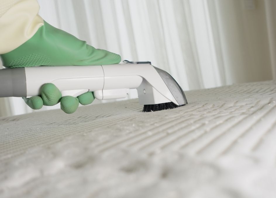 Professional cleaning services for allergens